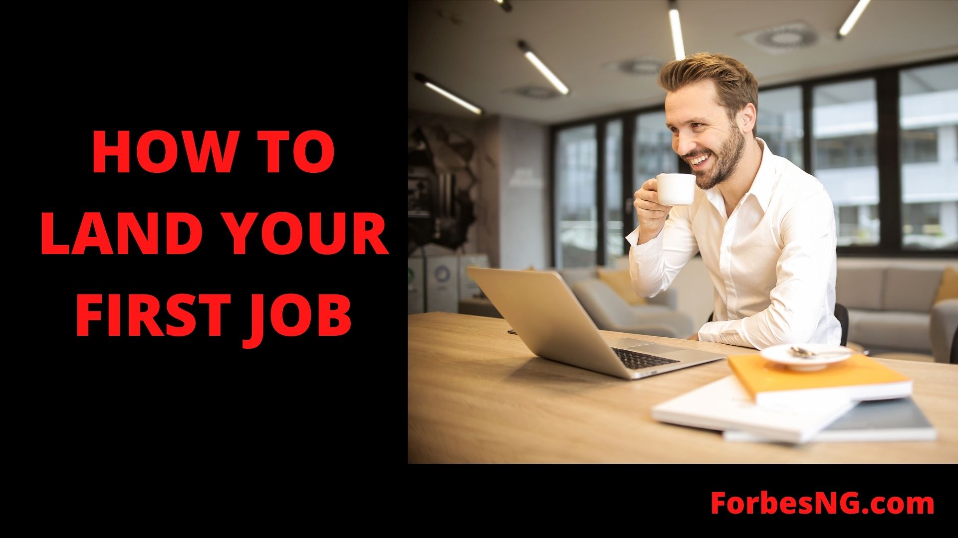 How to Get Your First Job in 12 Easy Steps