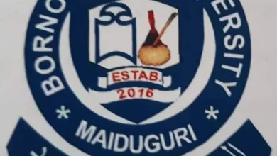 Borno State University cut off mark
